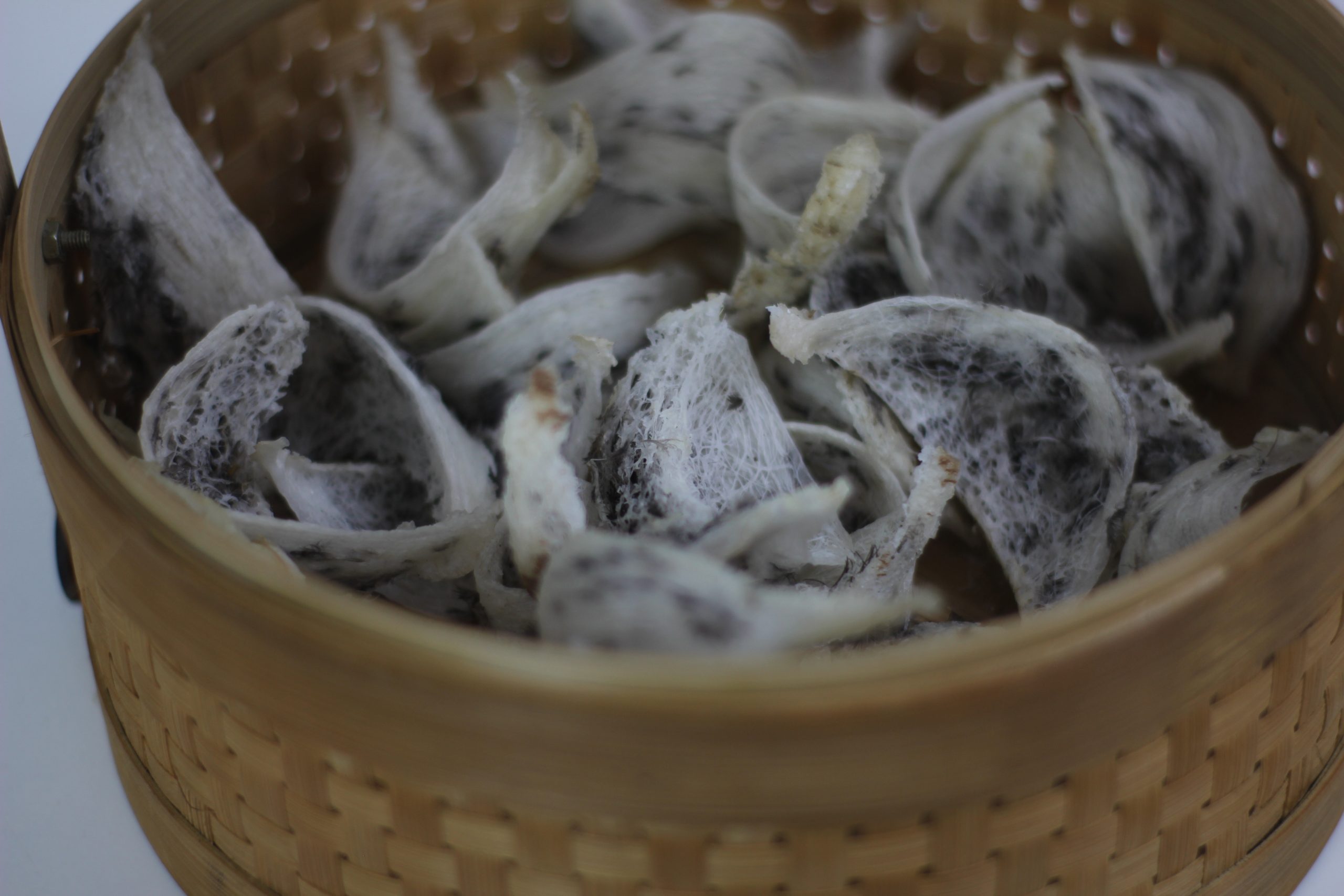 收割燕窝： 一年有多少个月和多少次？