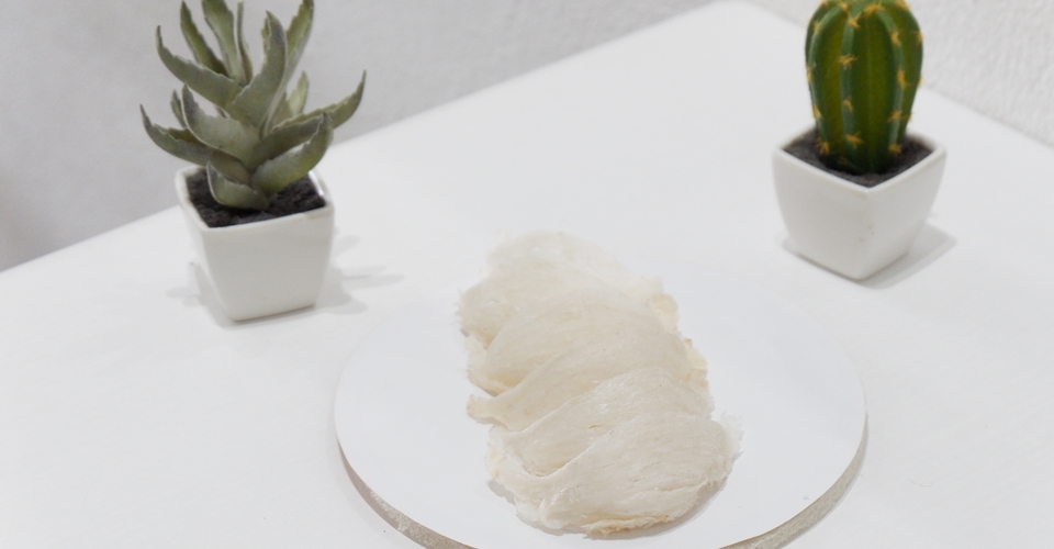 燕窝： 揭示世界上最昂贵的食品的资本、价格和出口潜力