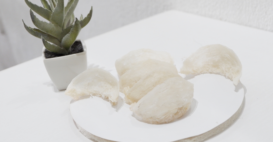 燕窝对人类健康的益处