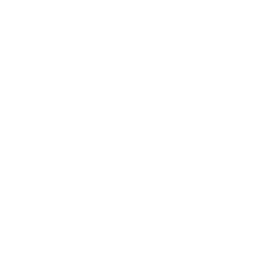 Indonesia Yanwoo | 印度尼西亚的原味燕窝，出口质量#1